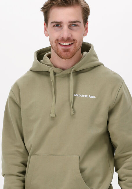 Groene COLOURFUL REBEL Sweater CR EST. 2013 BACK PRINT HOODIE - large