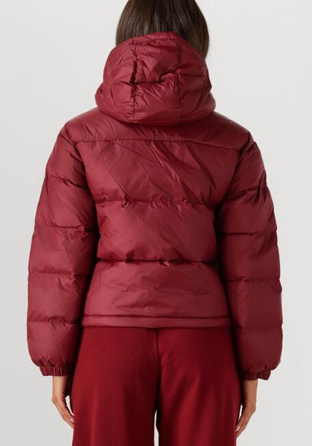 Bordeaux CALVIN KLEIN Gewatteerde jas ESSENTIAL MIDWEIGHT PUFFER JACKE - large