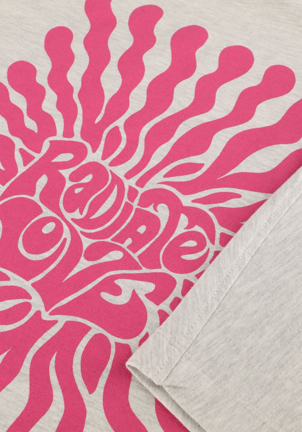 Grijze CATWALK JUNKIE T-shirt OVERSIZED GRAPHIC TSHIRT - large