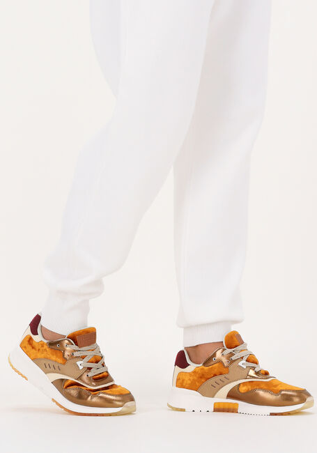 Oranje SCOTCH & SODA Lage sneakers VIVI - large