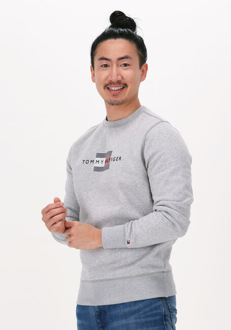 Lichtgrijze TOMMY HILFIGER Sweater LINES HILFIGER CREWNECK - large
