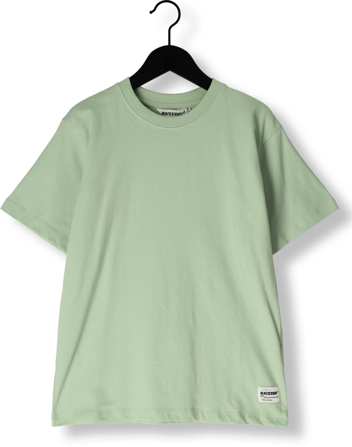 RAIZZED Jongens Polo's & T-shirts Hock Mint