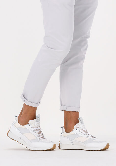 Witte GOOSECRAFT Lage sneakers DANE MEN - large