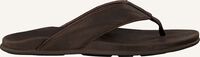 Bruine OLUKAI Teenslippers PIKOI - medium