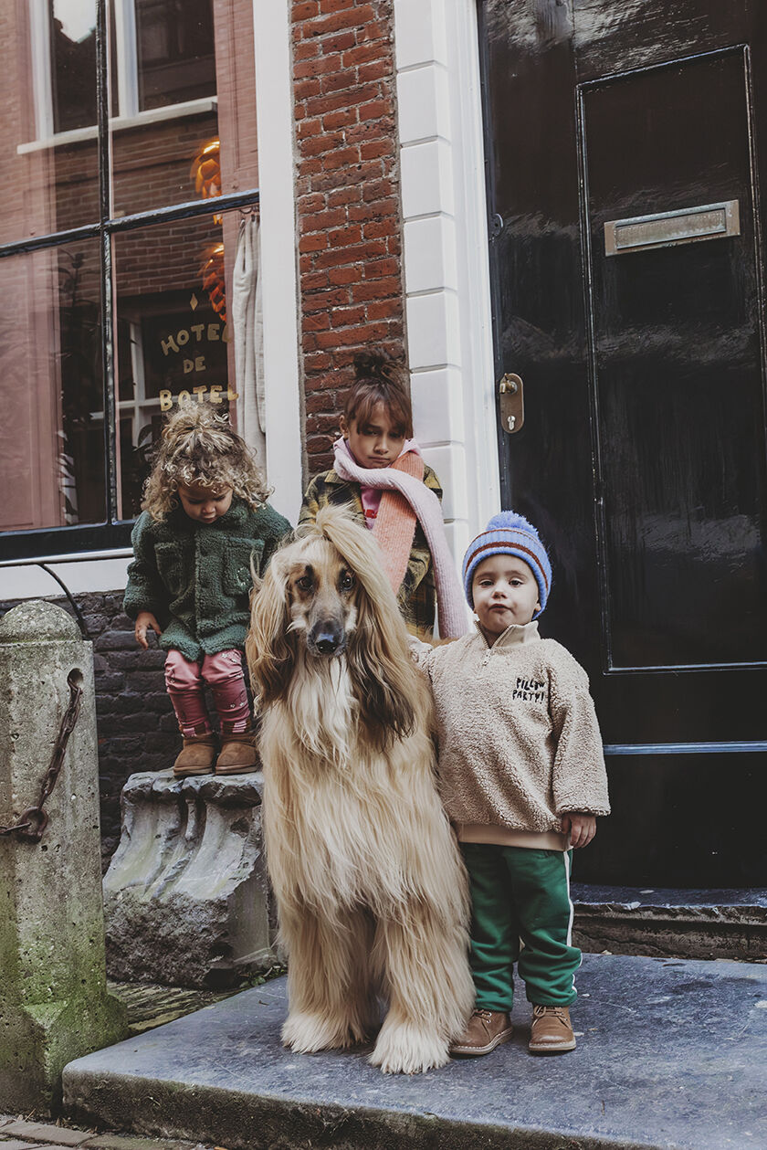 Beige Sproet & Sprout Trui TEDDY ANORAK SWEATSHIRT - large