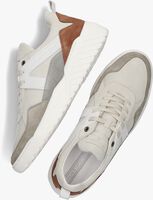 Taupe CYCLEUR DE LUXE Lage sneakers TOUR - medium