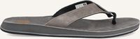 Grijze REEF Teenslippers DRIFT CLASSIC - medium