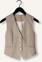 Grijze JOSH V Gilet RUDY Grijze JOSH V Gilet RUDY - medium