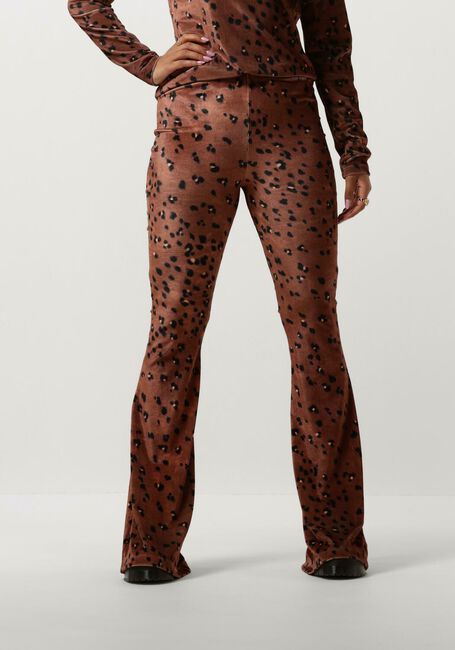 Bruine CATWALK JUNKIE Flared broek TR MEGAN - large