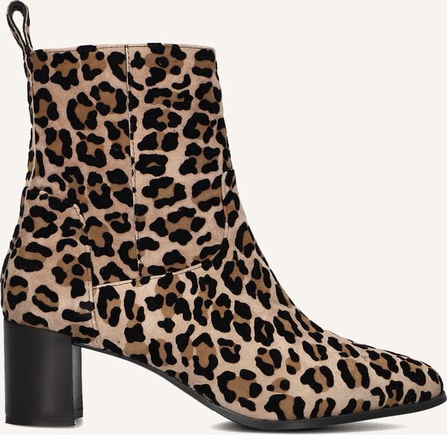 NOTRE-V 8543 NOTRE-V 8543 - large