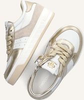 Gouden PINOCCHIO Lage sneakers P1057 Gouden PINOCCHIO Lage sneakers P1057 - medium