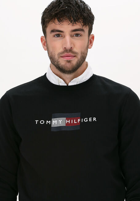 Zwarte TOMMY HILFIGER Sweater LINES HILFIGER CREWNECK - large