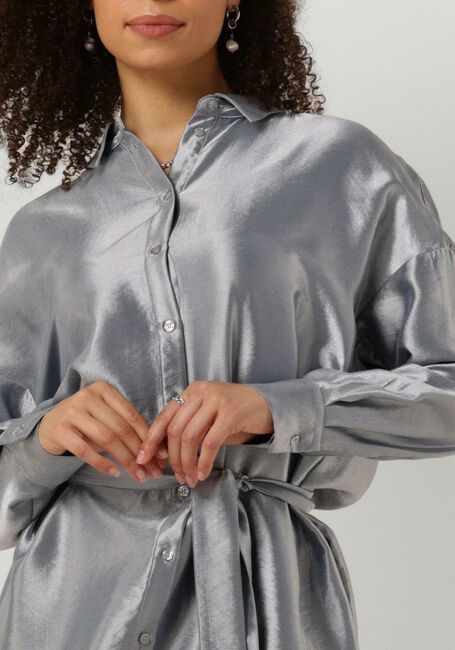 Zilveren SELECTED FEMME Mini jurk SLFSILVIA-TONIA LS SHIRT DRESS - large