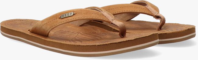 Camel REEF Teenslippers DRIFT AWAY LE - large