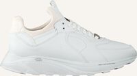 Witte EKN FOOTWEAR Lage sneakers LARCH DAMES - medium