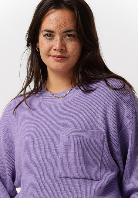 Paarse MSCH COPENHAGEN Trui DAROSE JILI O NECK PULLOVER - large