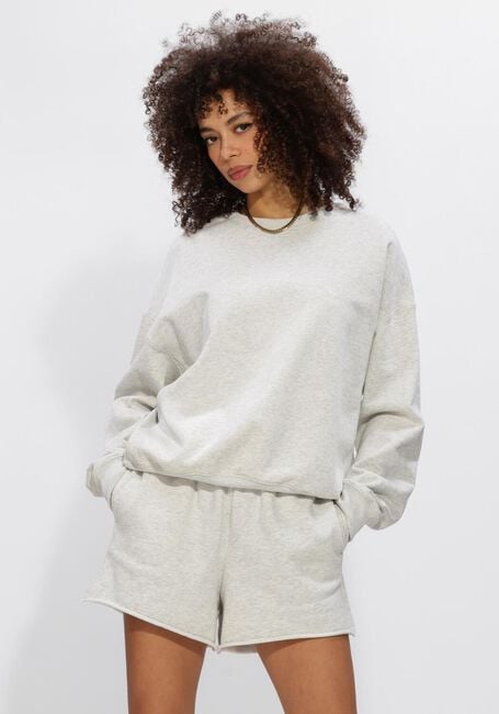 Lichtgrijze ELEH Truien/vesten SS260187 - large