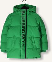 Groene Z8 Gewatteerde jas ROLAND Groene Z8 Gewatteerde jas ROLAND - medium