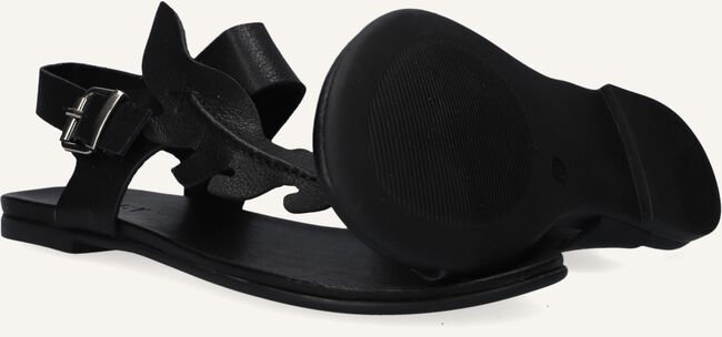 Zwarte NOTRE-V Platte sandalen 101325 Zwarte NOTRE-V Platte sandalen 101325 - large