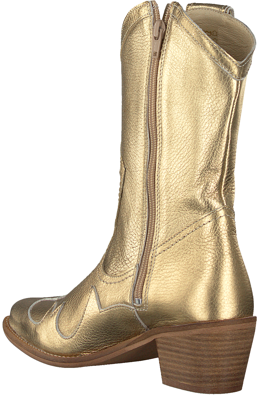 Gouden Laars png | PNGEgg Gouden Laars png | PNGEgg