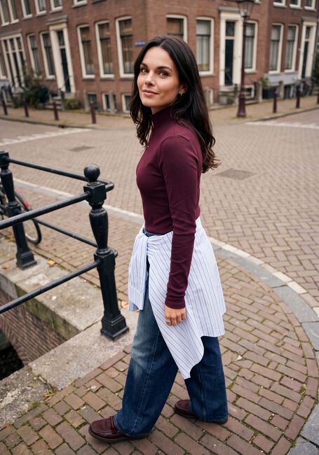 Bordeaux TOMMY JEANS Trui TJW ESSENTIAL MOCK NECK - large