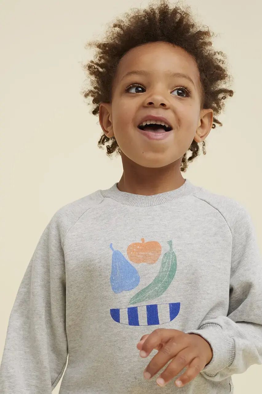 Sproet & Sprout Jongens Truien & Vesten Raglan Sweatshirt Fruit Grijs