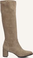 Taupe NOTRE-V Hoge laarzen 8581 - medium