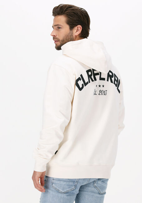 Beige COLOURFUL REBEL Sweater CR EST. 2013 BACK PRINT HOODIE - large