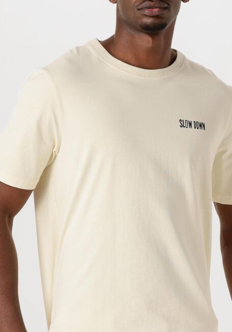 Gebroken wit ANERKJENDT T-shirt AKKIKI ENDURING SS TEE - large