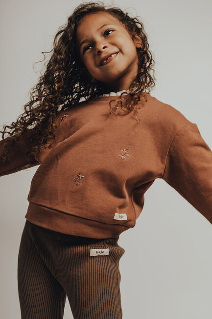 Bruine BAJE STUDIO Sweater CHISEL - large