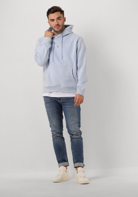 Lichtblauwe TOMMY JEANS Trui TJM REG LINEAR LOGO HOODIE EXT - large