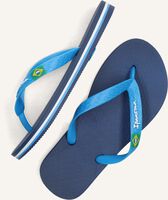 Blauwe IPANEMA Teenslippers CLASSIC BRASIL Blauwe IPANEMA Teenslippers CLASSIC BRASIL - medium