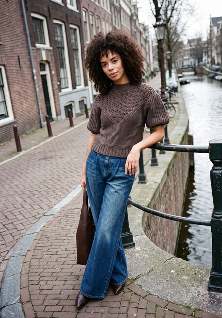 Bruine JANICE Truien/vesten NEXO - large