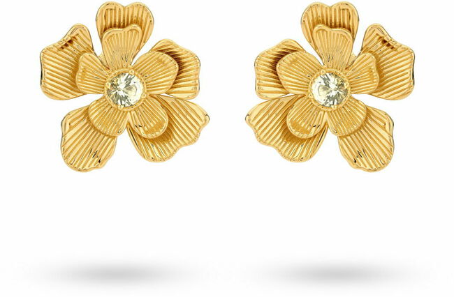 Goudkleurig 24Kae Oorbellen 42496Y - large