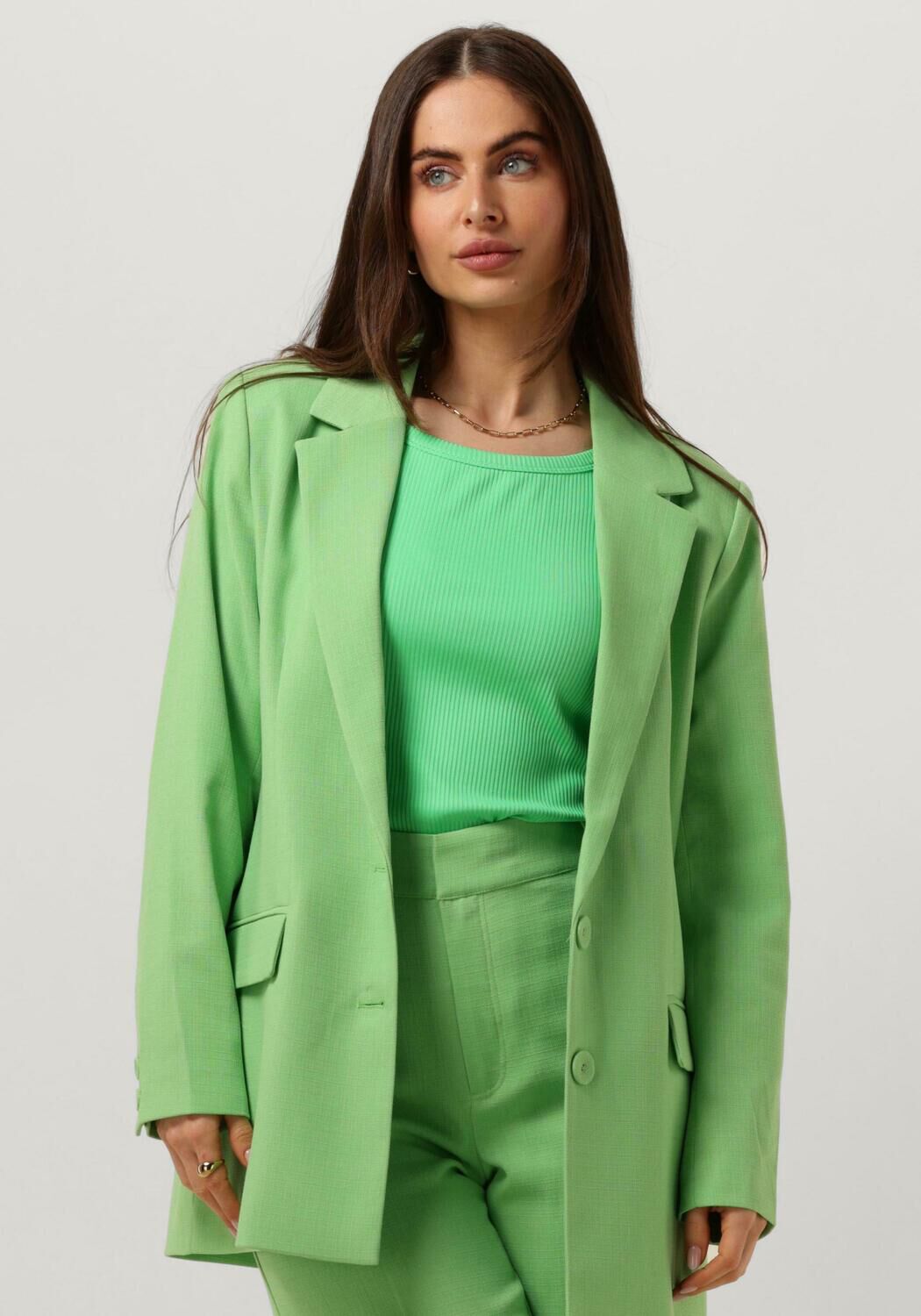 MY ESSENTIAL WARDROBE Dames Blazers Carlamw Blazer Groen