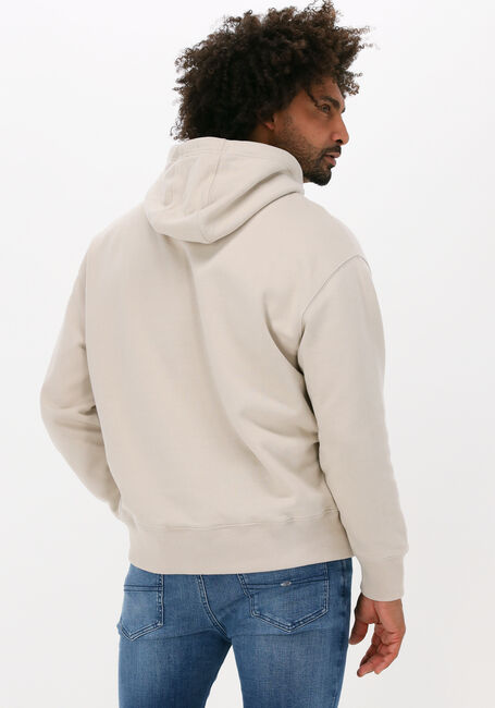 Beige TOMMY JEANS Sweater TJM SIGNATURE HOODIE - large