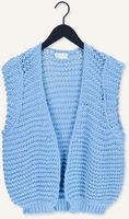 Lichtblauwe NOTRE-V Gilet KNIT GILET Lichtblauwe NOTRE-V Gilet KNIT GILET - medium