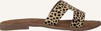Zwarte LAZAMANI Slippers 75.671 - medium
