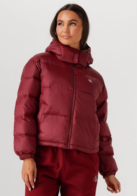 Bordeaux CALVIN KLEIN Gewatteerde jas ESSENTIAL MIDWEIGHT PUFFER JACKE - large