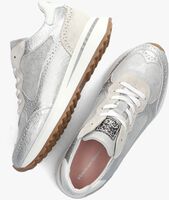 Zilveren FLORIS VAN BOMMEL Lage sneakers SFW-10109 - medium