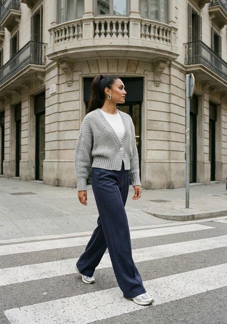 Grijze NUKUS Vest JOLIJN CARDIGAN - large