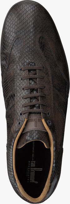 Bruine VAN BOMMEL Sneakers 10928 - large