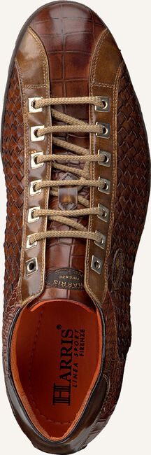 Cognac HARRIS Lage sneakers 5339 Cognac HARRIS Lage sneakers 5339 - large