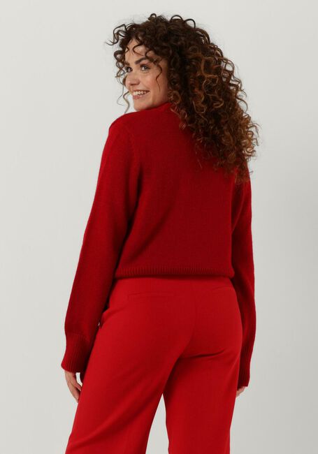 Rode ANOTHER LABEL Trui DEE KNITTED PULL L/S - large