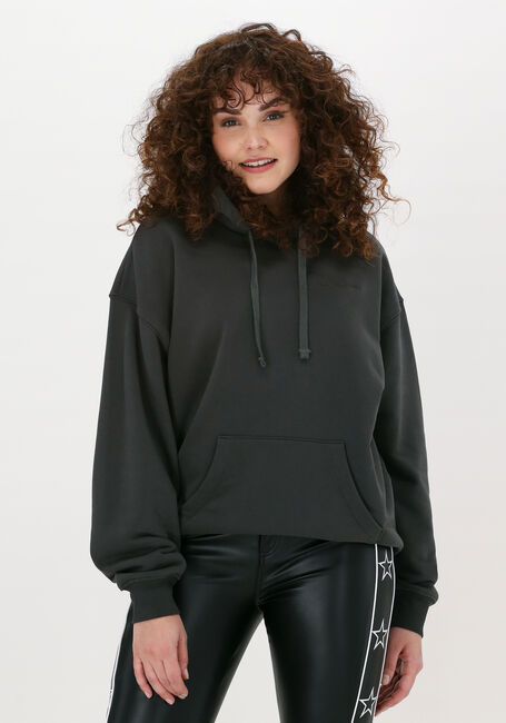 Grijze COLOURFUL REBEL Sweater BORN LUCKY EMBRO OVERSIZED HOO - large