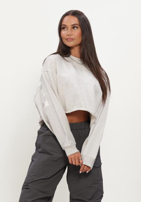 Lichtgrijze ALIX THE LABEL Truien/vesten LADIES KNITTED BACK PRINT SWEATER - large