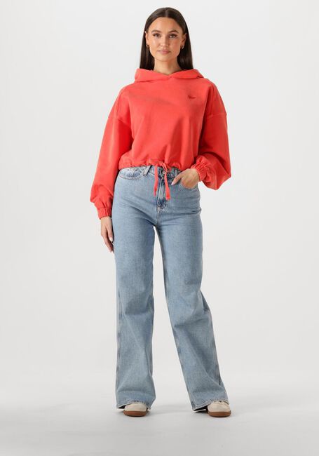 Rode TOMMY JEANS Sweater TJW CRP GMD SCRIPT HOODIE - large
