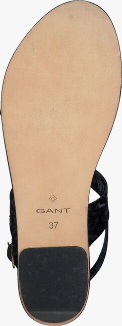 Zwarte GANT Sandalen BEECHUM - large