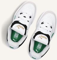 Witte PUMA Lage sneakers PARK LIFESTYLE SK8 JR Witte PUMA Lage sneakers PARK LIFESTYLE SK8 JR - medium