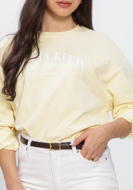 Gele CALVIN KLEIN Trui LOGO GRAPHIC CREWNECK SWEATSHIRT - large